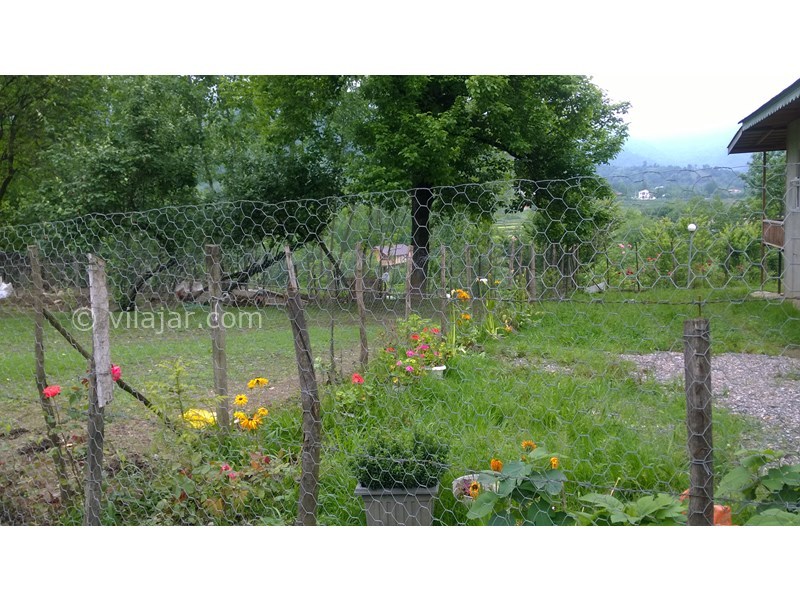 عکس شماره 550792 - اجاره ویلای جنگلی در ماسال - 