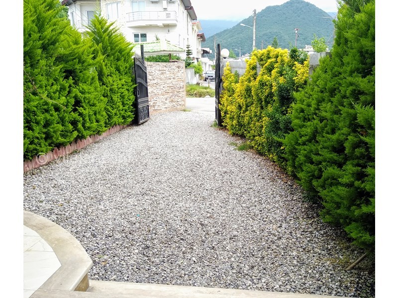 عکس شماره 551109 - اجاره ویلا در رامسر - 