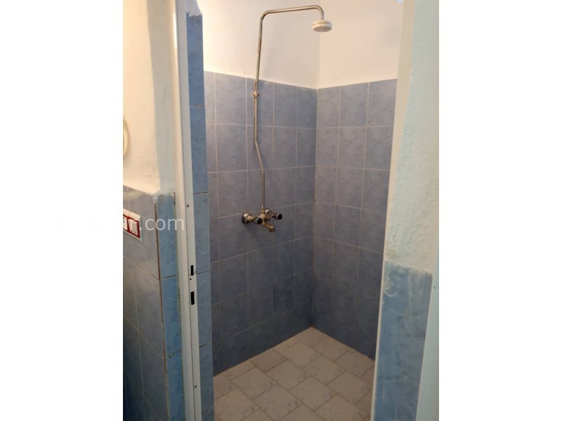 عکس شماره 551156 - اجاره ویلا استخردار در شیرود - 