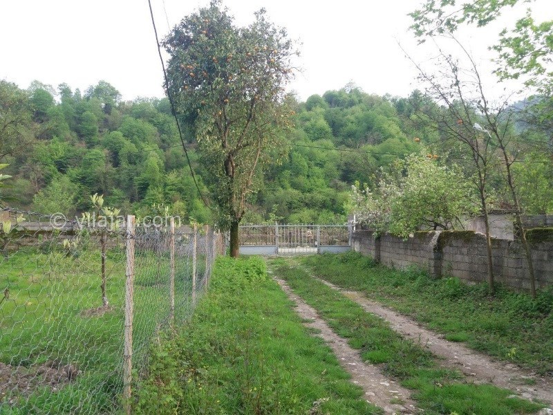 عکس شماره 551214 - ویلا باغ اجاره ای در ماسال - 