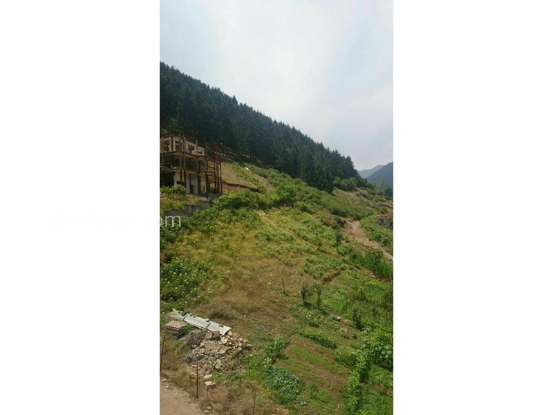 عکس شماره 551268 - رزرو ویلا در ییلاق کلاردشت - 