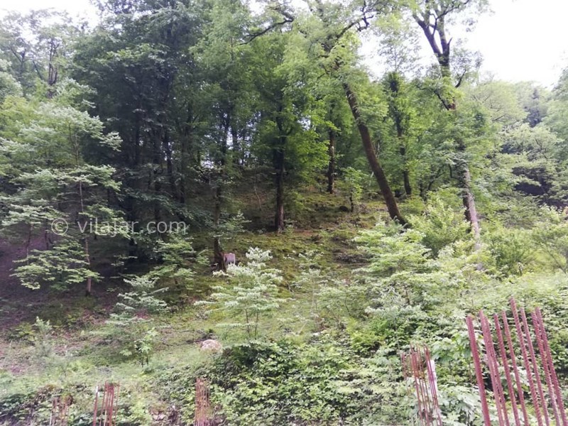 عکس شماره 551480 - ویلا دربست جنگلی بر رودخانه - 