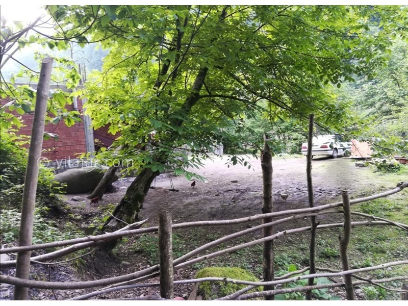 عکس شماره 551482 - ویلا دربست جنگلی بر رودخانه - 