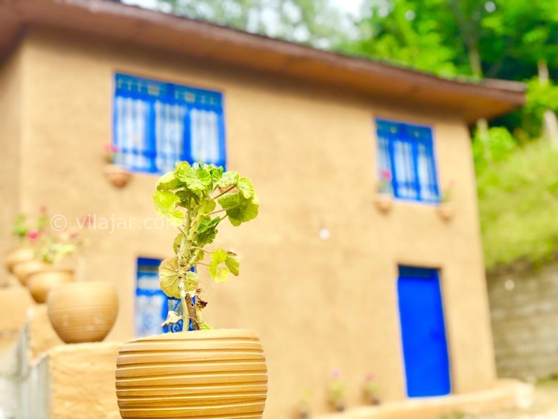 عکس شماره 551676 - اجاره ویلا سنتی در جنگل دالیخانی - 