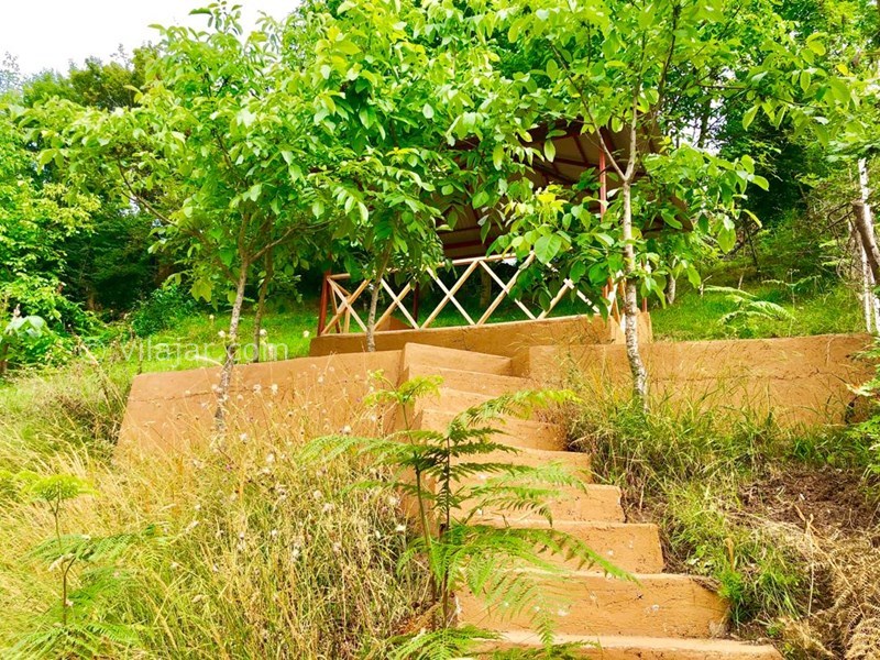 عکس شماره 551678 - اجاره ویلا سنتی در جنگل دالیخانی - 