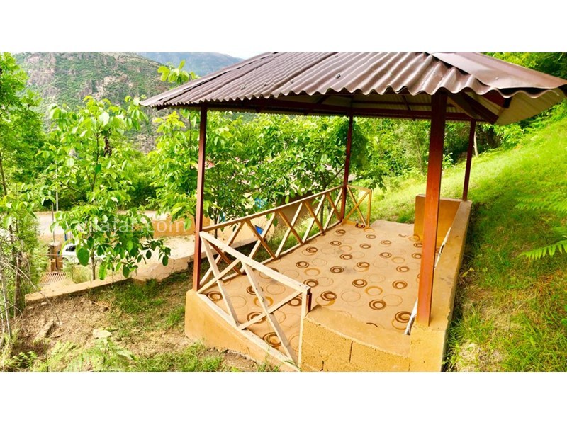 عکس شماره 551679 - اجاره ویلا سنتی در جنگل دالیخانی - 