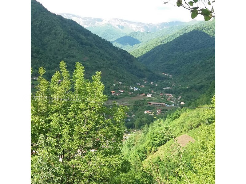 عکس شماره 551768 - اجاره ویلا جنگلی در فوشه -