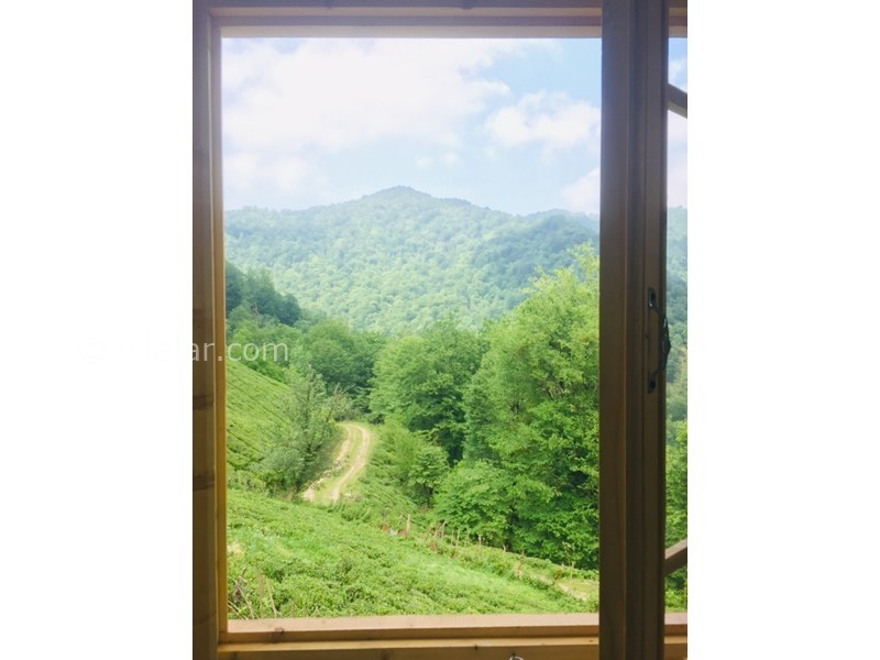 عکس شماره 551862 - اجاره ویلا جنگلی در فوشه -