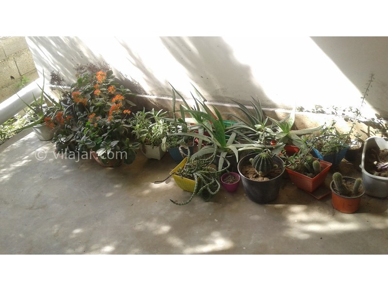 عکس شماره 552694 - اجاره واحد در رادیو دریا چالوس - 