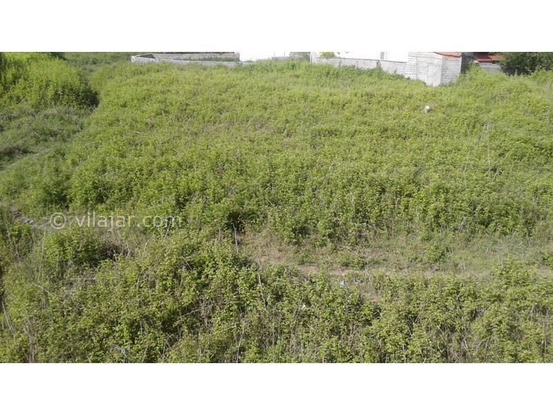 عکس شماره 552716 - اجاره واحد در رادیو دریا چالوس - 