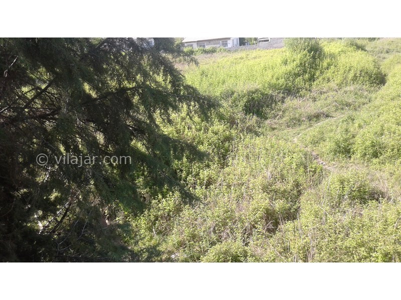 عکس شماره 552718 - اجاره واحد در رادیو دریا چالوس - 