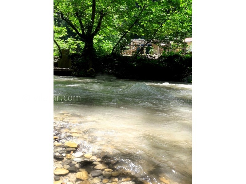 عکس شماره 553016 - ویلا دربست جنگلی بر رودخانه - 