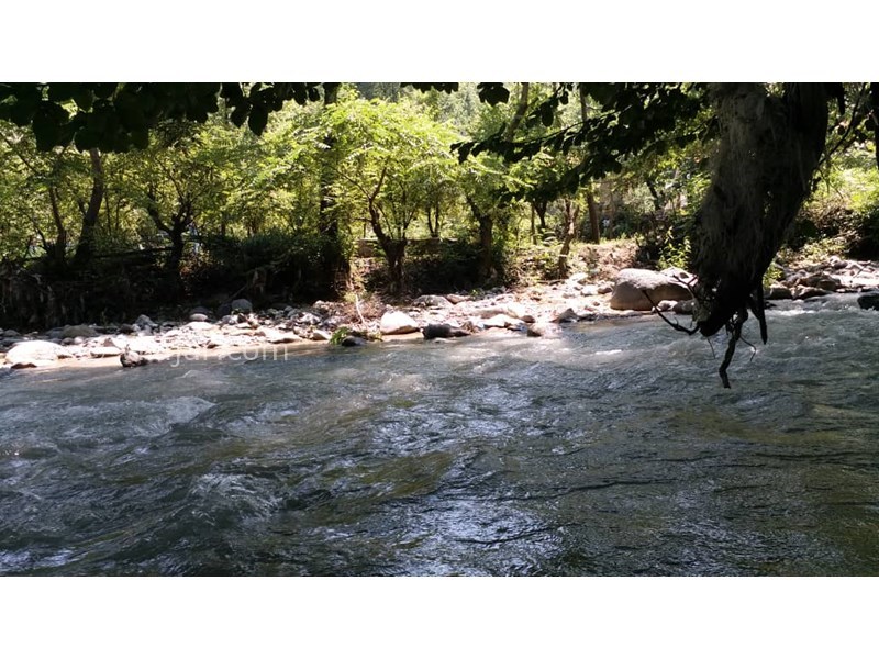 عکس شماره 553850 - اجاره ویلا در تالش - 