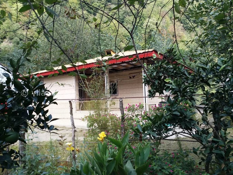 عکس شماره 553856 - اجاره ویلا در تالش - 