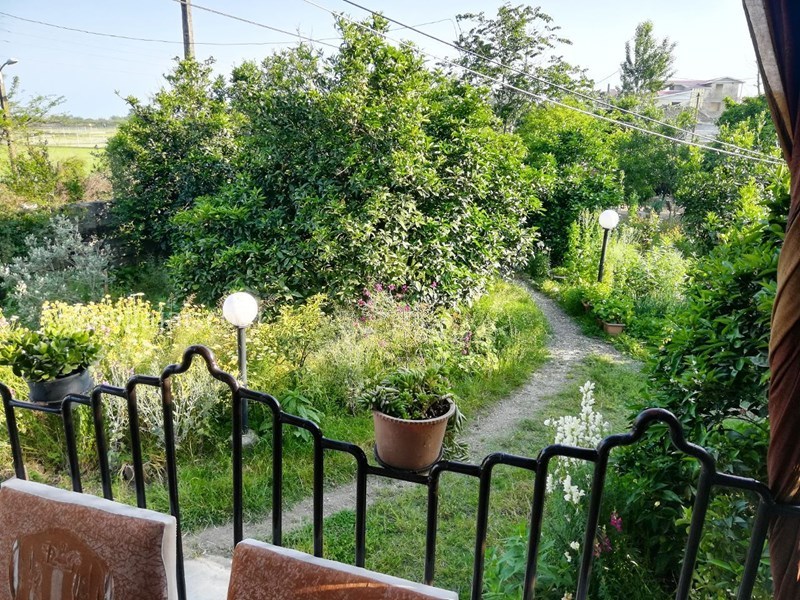 عکس شماره 553867 - رزرو ویلای ساحلی در تالش - 