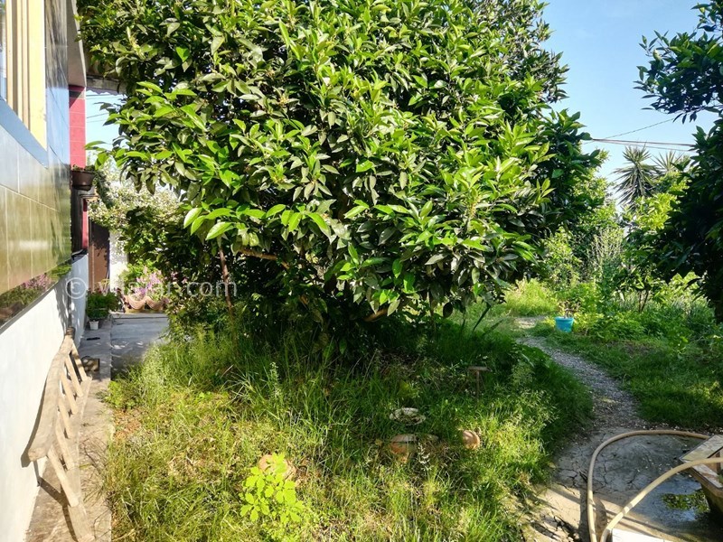 عکس شماره 553869 - رزرو ویلای ساحلی در تالش - 