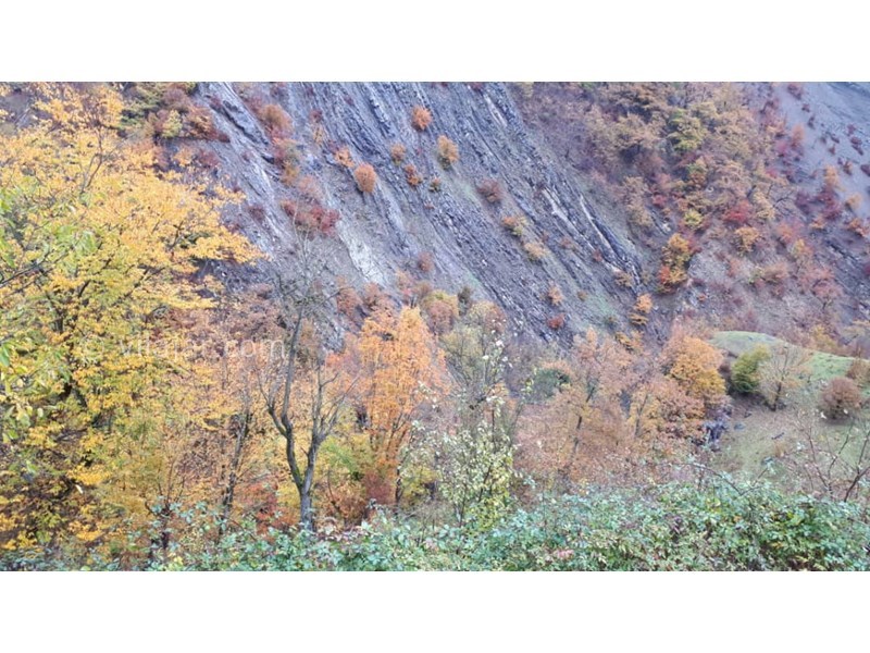 عکس شماره 554996 - اجاره ویلا در ییلاق مریان - 