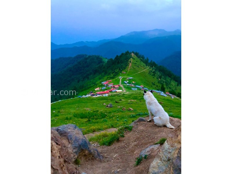 عکس شماره 555386 - رزرو کلبه چوبی در اولسبلنگاه - ییلاق سوچاله چشم انداز کلبه