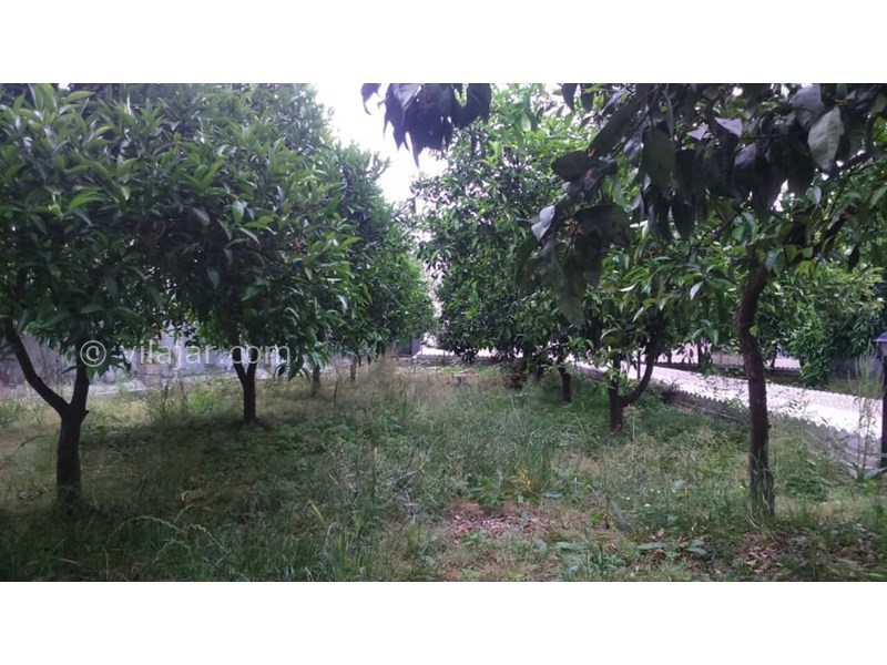 عکس شماره 555711 - اجاره باغ ویلای دربست در تالش - 