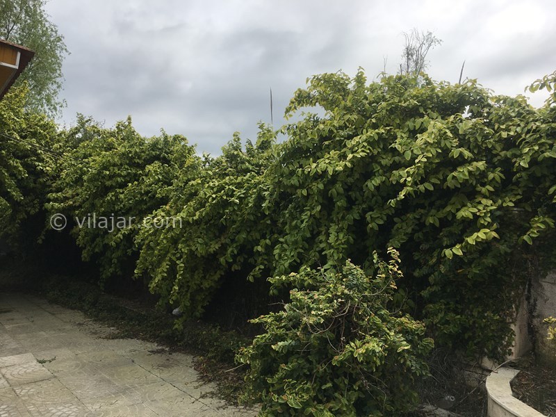 عکس شماره 556104 - اجاره ویلا در ایزدشهر - 