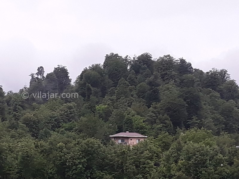 عکس شماره 556359 - اجاره ویلا جنگلی با استخر در شفت - 