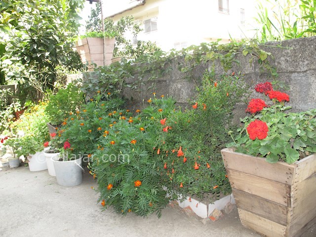 عکس شماره 55673 - اجاره واحد یکخوابه در رامسر - 