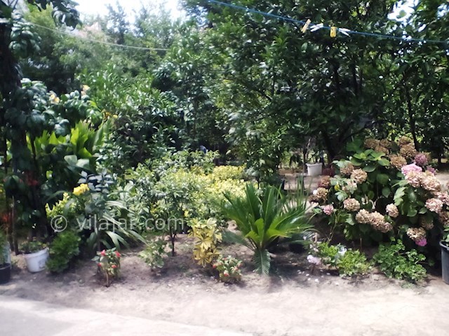 عکس شماره 55679 - اجاره واحد یکخوابه در رامسر - 