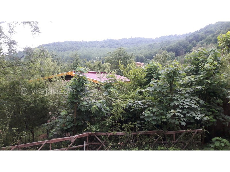 عکس شماره 557545 - اجاره خانه جنگلی در ماسال - 