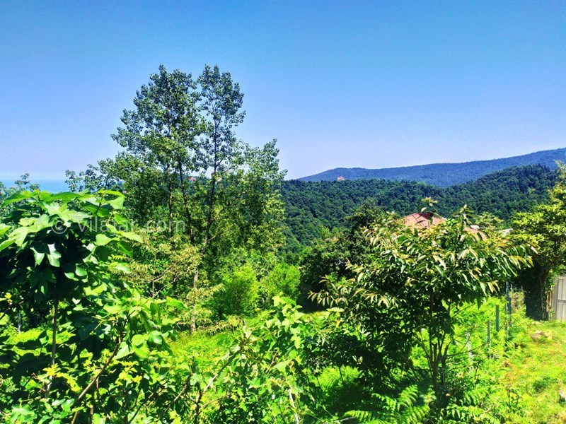 عکس شماره 557576 - اجاره ویلا نزدیک رامسر - 