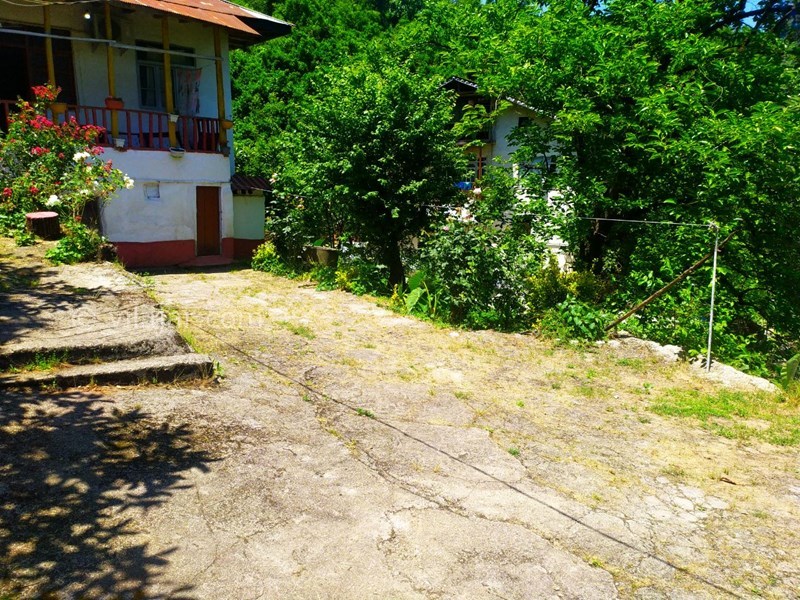 عکس شماره 557587 - اجاره خانه سنتی جنگلی در رامسر - 