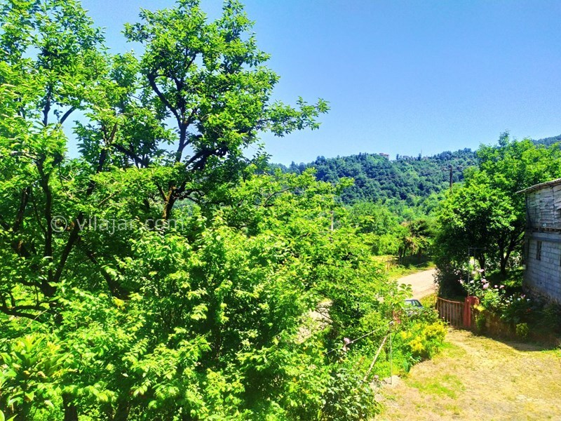 عکس شماره 557596 - اجاره خانه سنتی جنگلی در رامسر - 