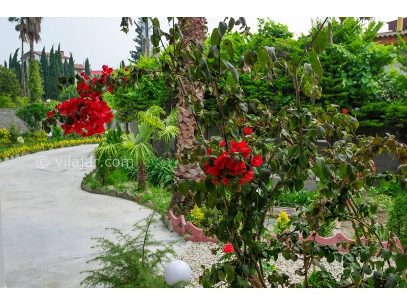 عکس شماره 557627 - اجاره ویلا با استخر در رامسر - فضای سبز و حیاط ویلا