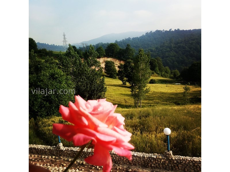 عکس شماره 558040 - اجاره خانه روستایی سنتی در بهشهر - ویواصلی اقامتگاه روبه جنگل