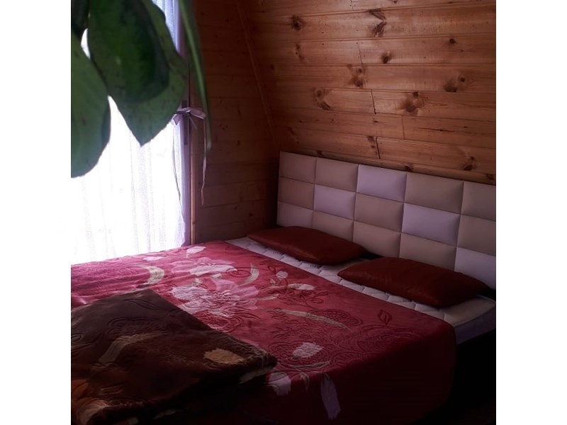 عکس شماره 558217 - اجاره ویلا چوبی در رضوانشهر -