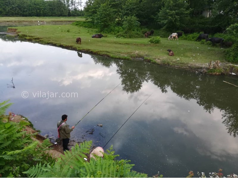 عکس شماره 558530 - اجاره ویلا دربست نزدیک ساحل گیسوم - 