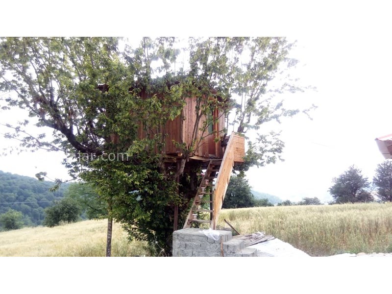 عکس شماره 559108 - اجاره خانه روستایی سنتی در بهشهر -