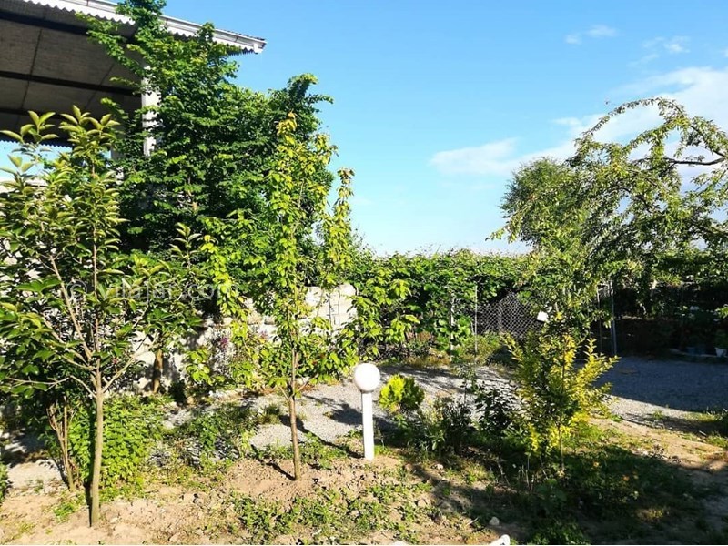 عکس شماره 559189 - اجاره ویلا در تالش - 