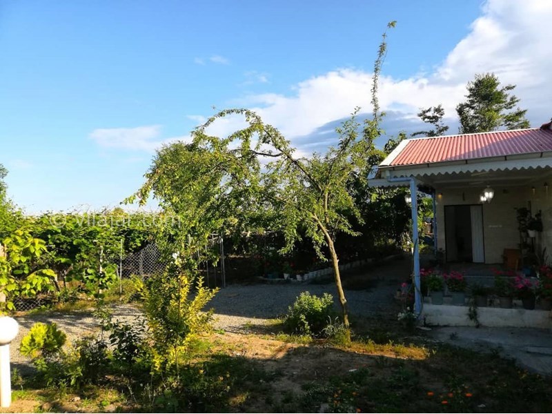 عکس شماره 559201 - اجاره ویلا در تالش - 