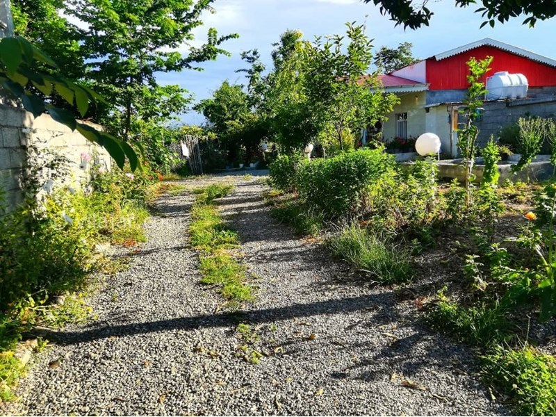 عکس شماره 559211 - اجاره ویلا در تالش - 