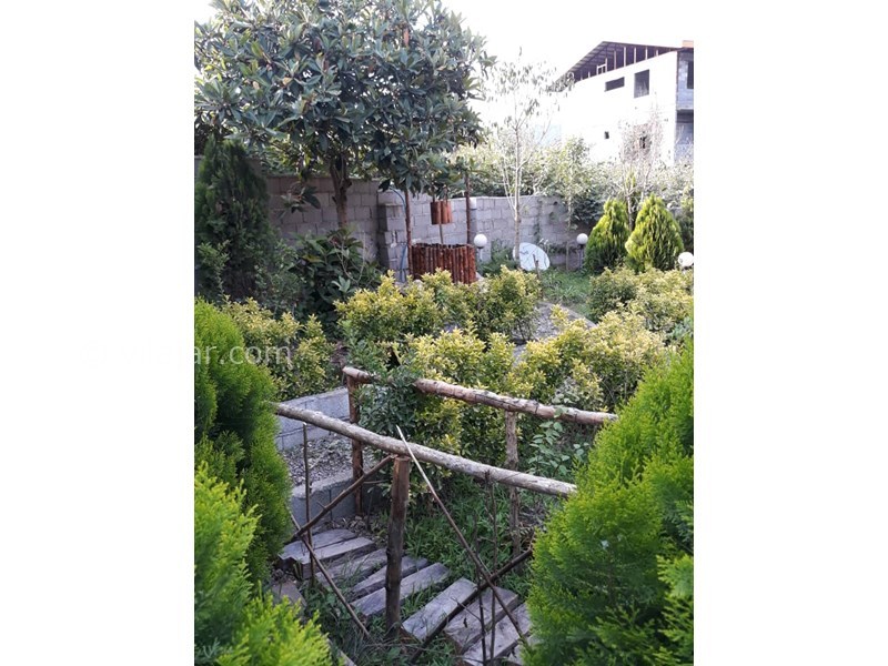 عکس شماره 560639 - ویلا چوبی استخردار جنگل دالخانی - محوطه و فضای سبز ویلا