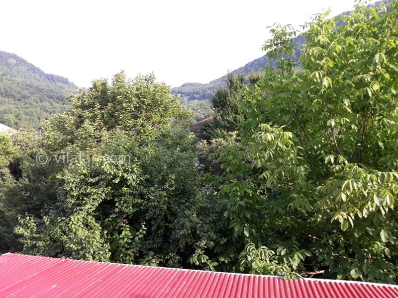 عکس شماره 560649 - ویلا چوبی استخردار جنگل دالخانی - چشم انداز ویلا به طبیعت سبز