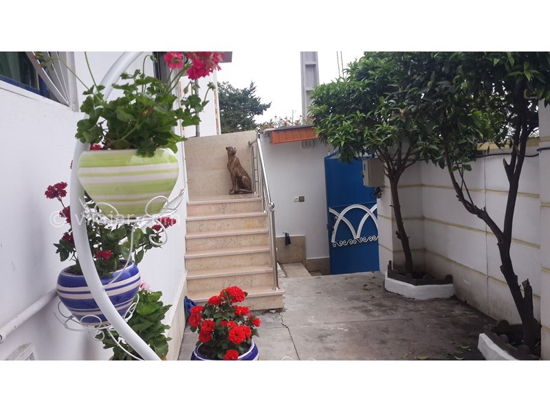 عکس شماره 561238 - اجاره خانه ویلایی در رامسر - 