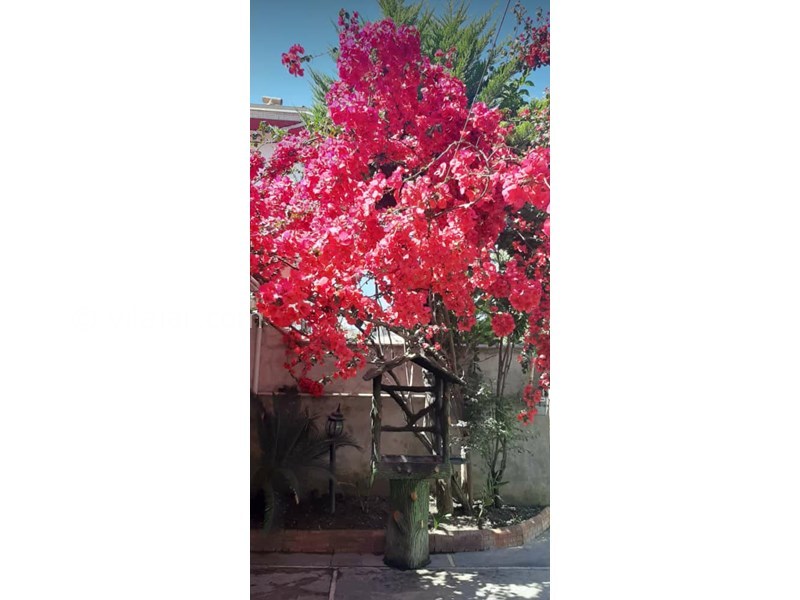 عکس شماره 561745 - ویلا بااستخر و سونا در رامسر - 