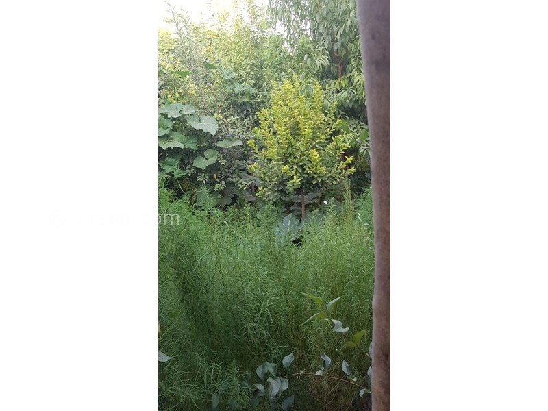 عکس شماره 562395 - اجاره ویلا باغ در خمین - 