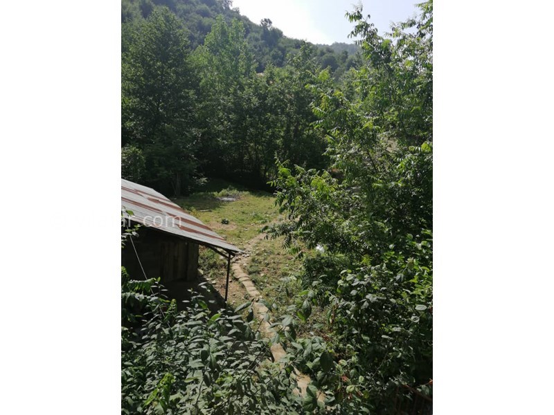 عکس شماره 564127 - ویلا چوبی ماسال با چشمه آب اختصاصی - 