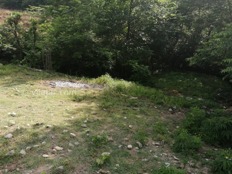 عکس شماره 564134 - ویلا چوبی ماسال با چشمه آب اختصاصی - 