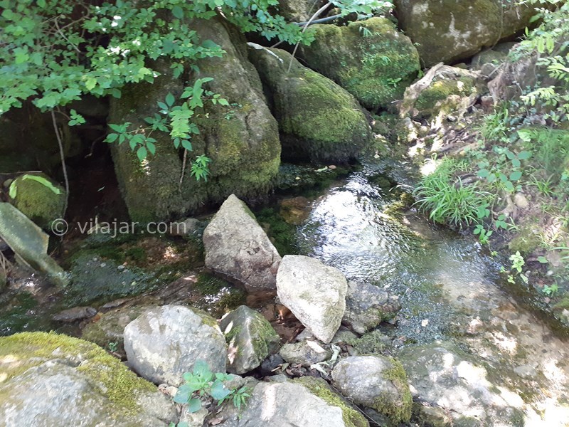 عکس شماره 564149 - ویلا چوبی ماسال با چشمه آب اختصاصی - دارای چشمه اختصاصی طبیعی داخل حیاط ویلا 