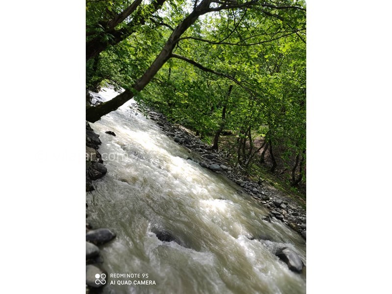 عکس شماره 566393 - اجاره ویلا در تالش - 