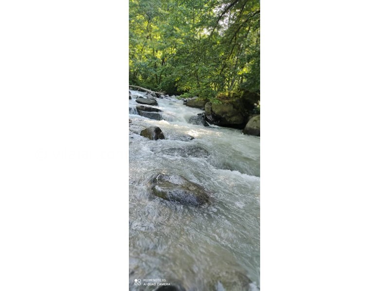 عکس شماره 566401 - اجاره ویلا در تالش - 