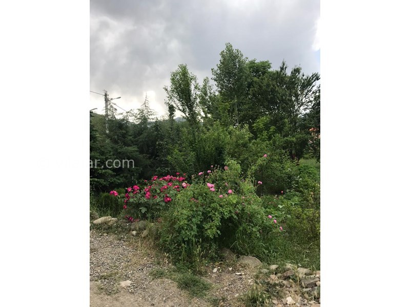 عکس شماره 566470 - اجاره ویلا غیر دربست در کلاردشت - 